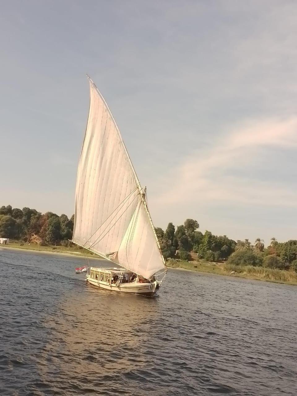 Hotel Nile Felucca Adventure à Assouan Extérieur photo