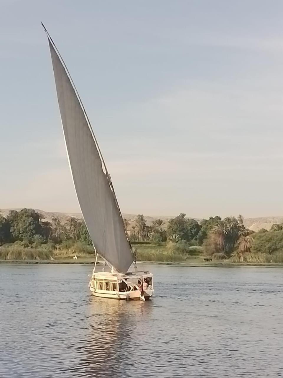 Hotel Nile Felucca Adventure à Assouan Extérieur photo