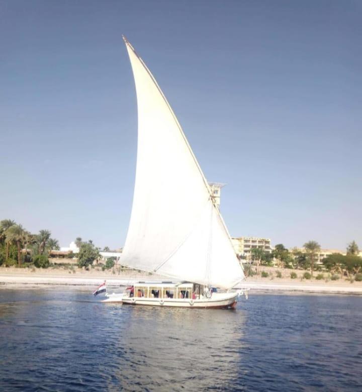 Hotel Nile Felucca Adventure à Assouan Extérieur photo